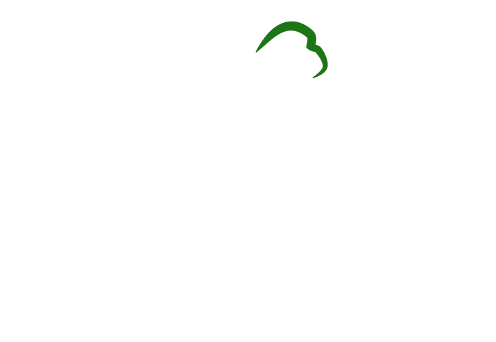 Silverback Physio Logo